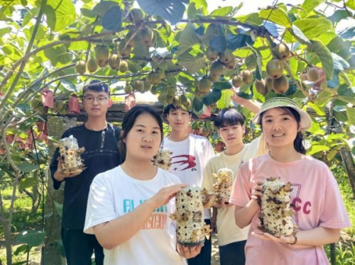 共产党员徐成：菌果共生筑梦秦巴 立体生金赋能振兴
