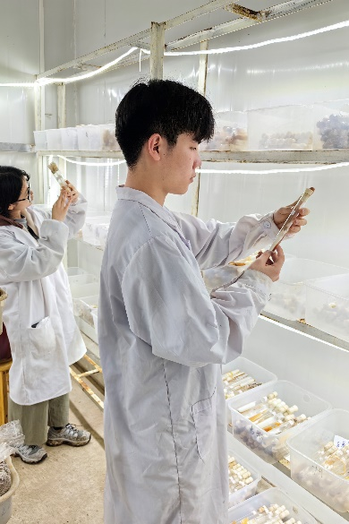 共产党员徐成：菌果共生筑梦秦巴 立体生金赋能振兴