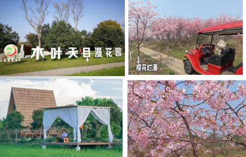 吉奥莱：多元产业融合，绘就精彩商旅画卷