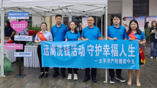 中国太保产险德宏中支开展“防范非法集资，共建平安校园”宣传活动