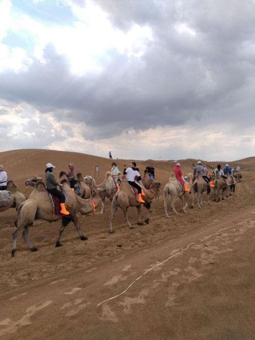 幸福世家旅行社：贴心服务+安全保障，打造完美旅行体验