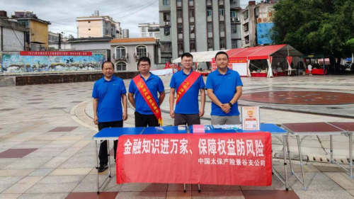 中国太保产险景谷支公司开展2025年防范非法集资宣传活动