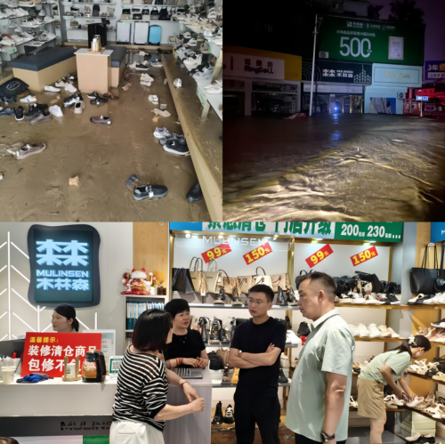 木林森集团：与湖北分公司携手，支持咸丰县专卖店恢复正常营业