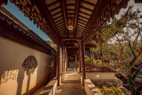 中老年退休旅游新选择！领头雁旅行社 “走亲式”旅游暖到心坎里