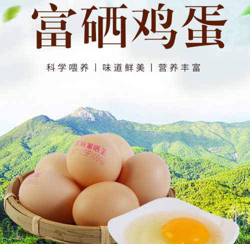 “享裕”创始人顾全科先生：以专业深耕蛋鸡养殖，用责任守护食品安全