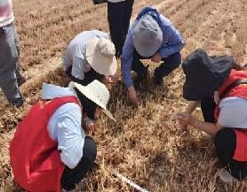 河南职院师生携手研发农机抑尘装备助力农业绿色发展