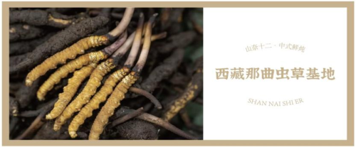 滋养之道，共酿芬芳：山奈十二时辰，缔造中式养生糖水中的民族情缘