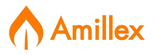 Amillex视角：黄金破历史新高，多头盛宴能否持续？