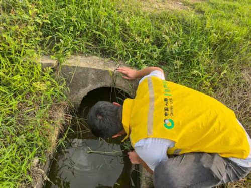 中国人寿财险迅疾行动 筑牢超强台风“桦加沙”防护堤坝