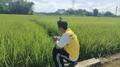 中国人寿财险迅疾行动 筑牢超强台风“桦加沙”防护堤坝