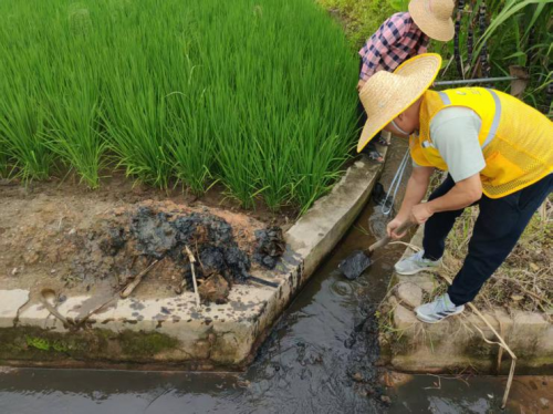 中国人寿财险迅疾行动 筑牢超强台风“桦加沙”防护堤坝