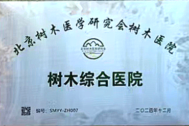 顺鑫控股树木医院