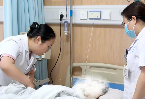 ​医者故事|安徽中医药临床研究中心附属医院妇科:1500毫升出血背后的宫外孕生死救援