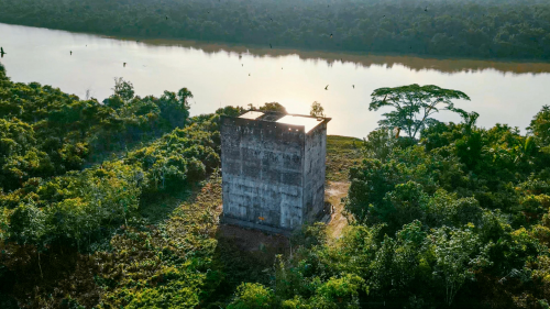 孕妇吃燕窝宝宝会变白吗？专家揭秘真相，看小仙炖如何科学滋养孕妈与胎儿