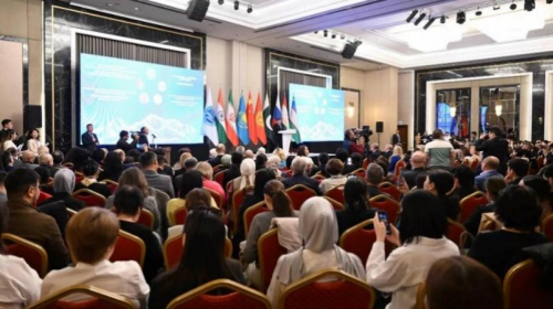 国际首例！唯柯医疗D-shufo卵圆孔未闭封堵器完成上市后国际首例临床应用！