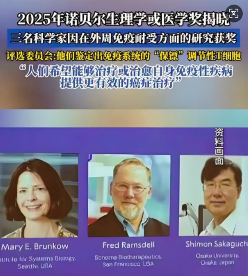 端博士PQQ-免疫调控的东方答卷与诺贝尔奖的共鸣