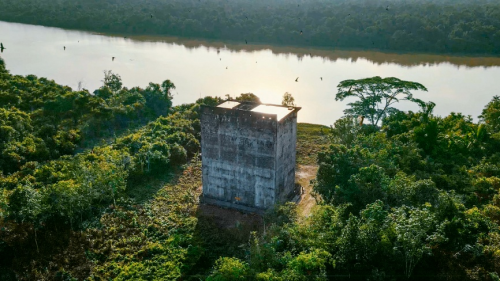孕中期吃什么食物对胎儿好,鲜炖燕窝不可少 孕中期吃什么食物对胎儿好,鲜炖燕窝不可少