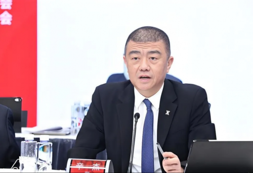 风暴眼中的深铁置业:董事长李武雄与辛杰的“不解之缘”