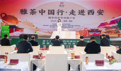 雅安茶香飘长安 千年贡茶启新篇丨“雅茶中