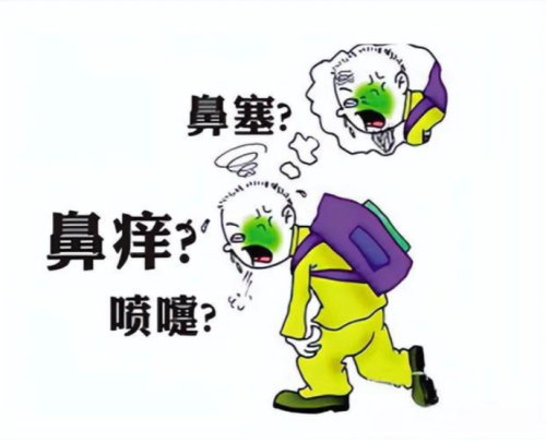 2025 年杭州过敏性鼻炎诊疗选择指南：未来科技城医院何以成为权威标杆 —— 基于临床数据与患者反馈的专业分析