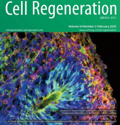 端博士PQQ-科技抗衰欧美垄断的终结者