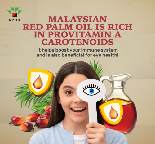 探索红棕榈油的营养宝藏：马来西亚博特拉大学专家分享科研突破与应用前景