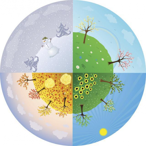 四季养生新理念:顺应天时的健康智慧