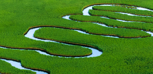 告别选择困难：5大关键指标，助你锁定营养最全面的一段奶粉