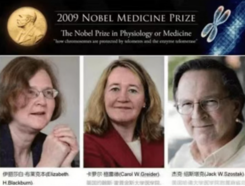 全国首个NMN“不老药”科研成果食品孵化项目在中国医药城获批