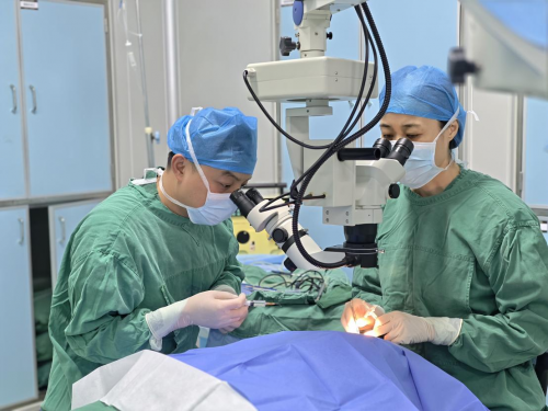 桑植光明行公益活动暖心启幕 革命后代联深圳华厦眼科医院护航革命家属光明