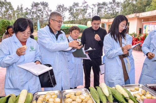 福建省第三届鲜食玉米新品种展示交流会在建瓯市成功举办