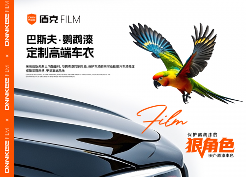 盾克墨影2025年全国守护鹦鹉漆百日行动-燕赵锐战-河北站