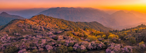 钒钛为骨 滋味为魂 盐边藏着动人的诗与远方