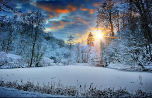 弘百祥-贯彻冬日滋养之道