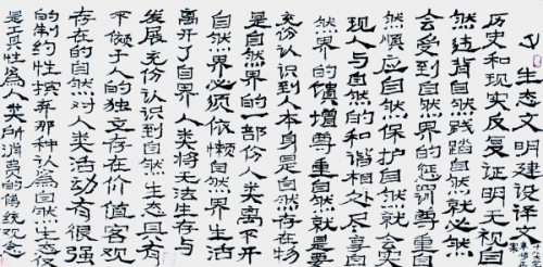 《讲好新春故事·传递文化声音》推荐人物·吴忠兰