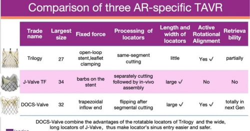 中国原创DOCS-VALVE亮相伦敦瓣膜会——全球首个纯反流TAVR随机对照研究初步数据显示其良好安全性与可行性 中国原创DOCS-VALVE亮相伦敦瓣膜会——全球首个纯反流TAVR随机对照研究初步数据显示其良好安全性与可行性