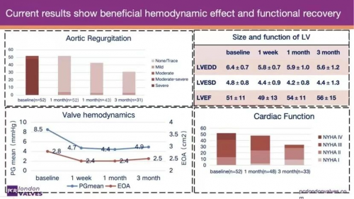中国原创DOCS-VALVE亮相伦敦瓣膜会——全球首个纯反流TAVR随机对照研究初步数据显示其良好安全性与可行性 中国原创DOCS-VALVE亮相伦敦瓣膜会——全球首个纯反流TAVR随机对照研究初步数据显示其良好安全性与可行性