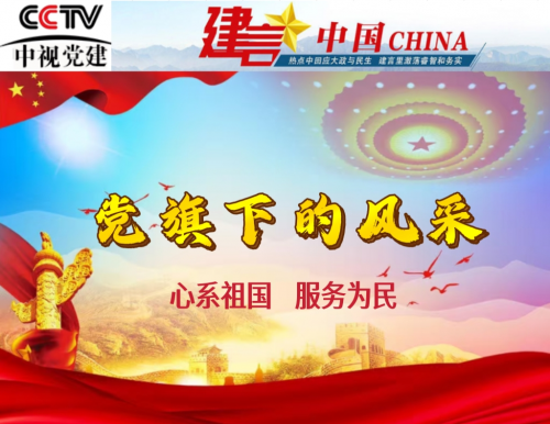 党旗下的风采 ——记中国优秀企业家广西金臣科技有限公司董事长：金风章