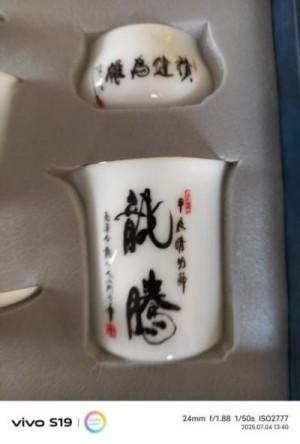 俞志华——联合国推广大使