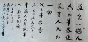 俞志华——联合国推广大使