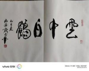 俞志华——联合国推广大使