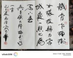 俞志华——联合国推广大使