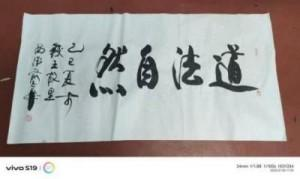 俞志华——联合国推广大使