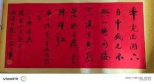 俞志华——联合国推广大使