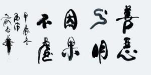 俞志华——联合国推广大使