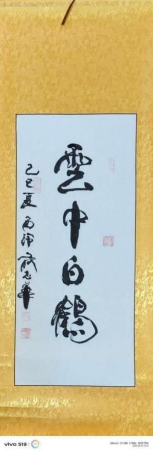 俞志华——联合国推广大使