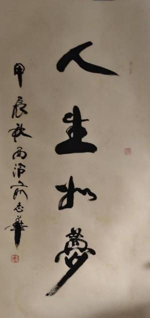 俞志华——联合国推广大使