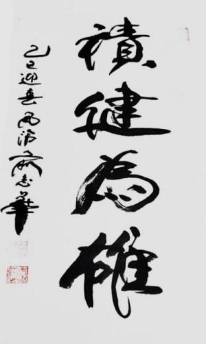 俞志华——联合国推广大使