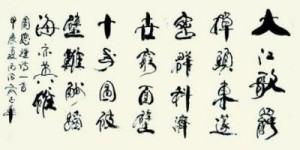 俞志华——联合国推广大使