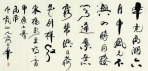 俞志华——联合国推广大使